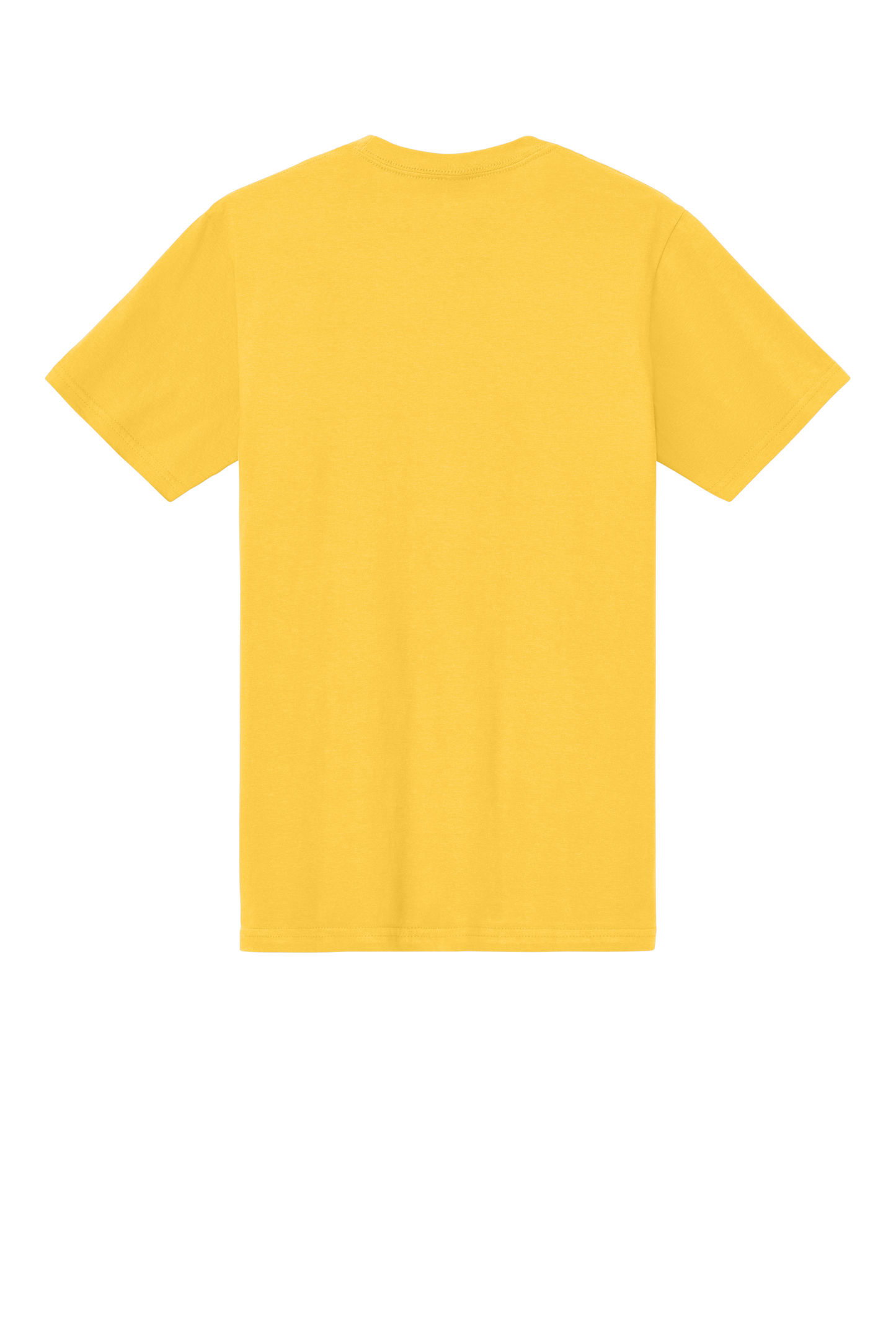 Softstyle Midweight Tee