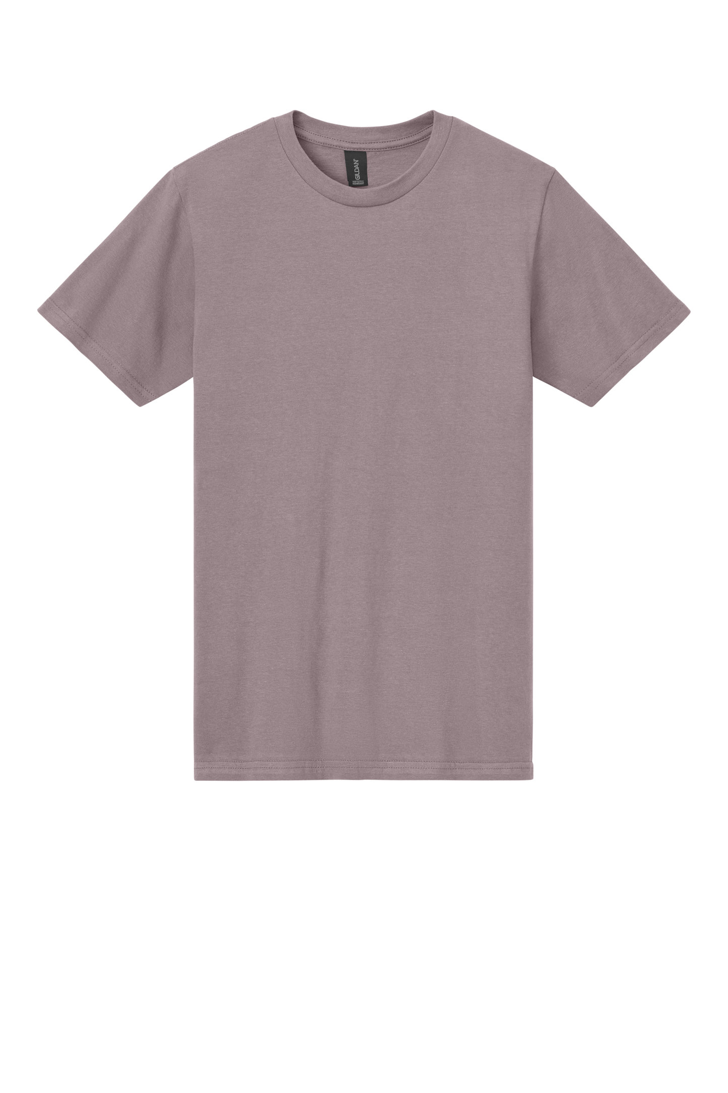 Softstyle Midweight Tee