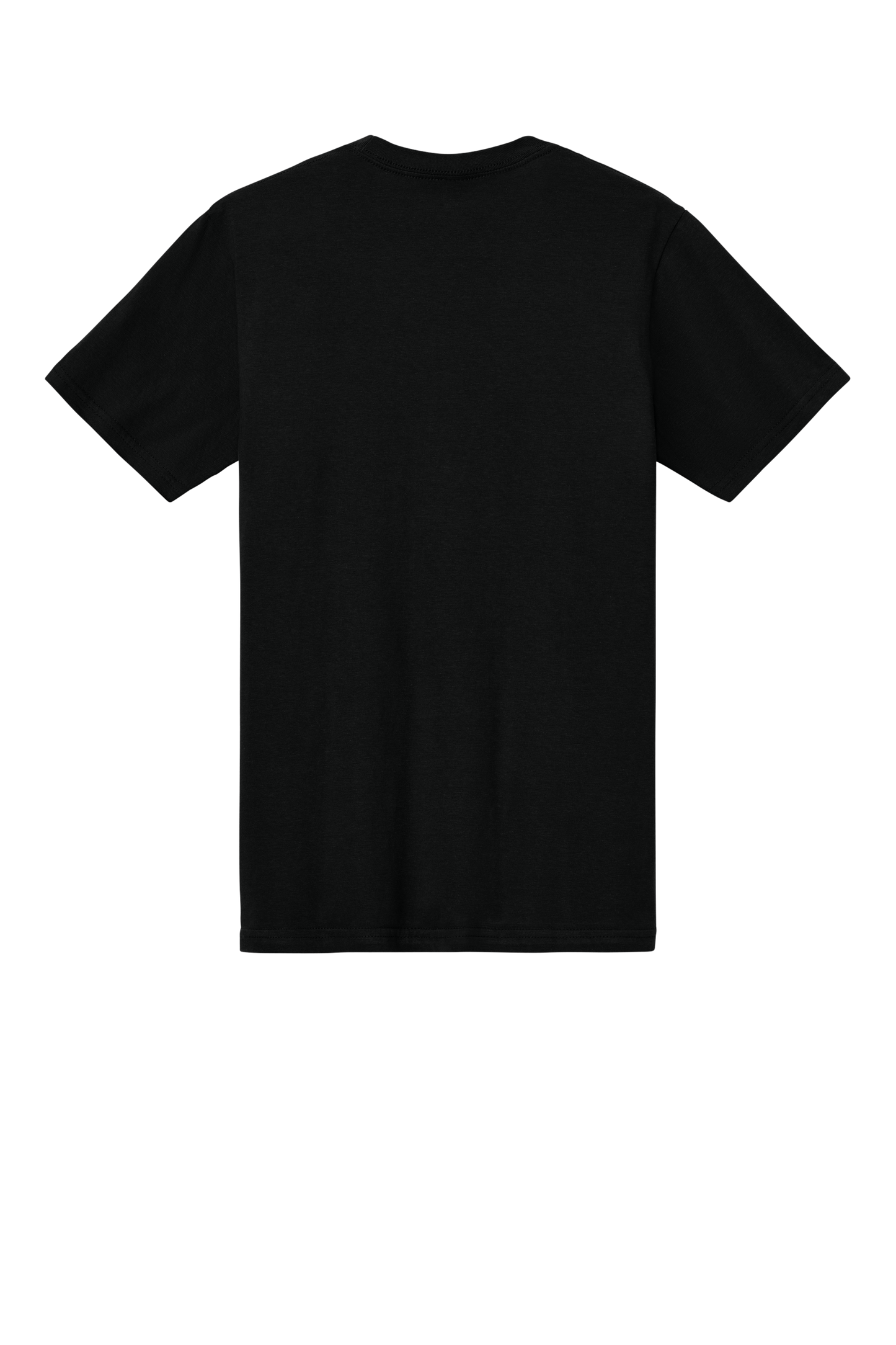 Softstyle Midweight Tee