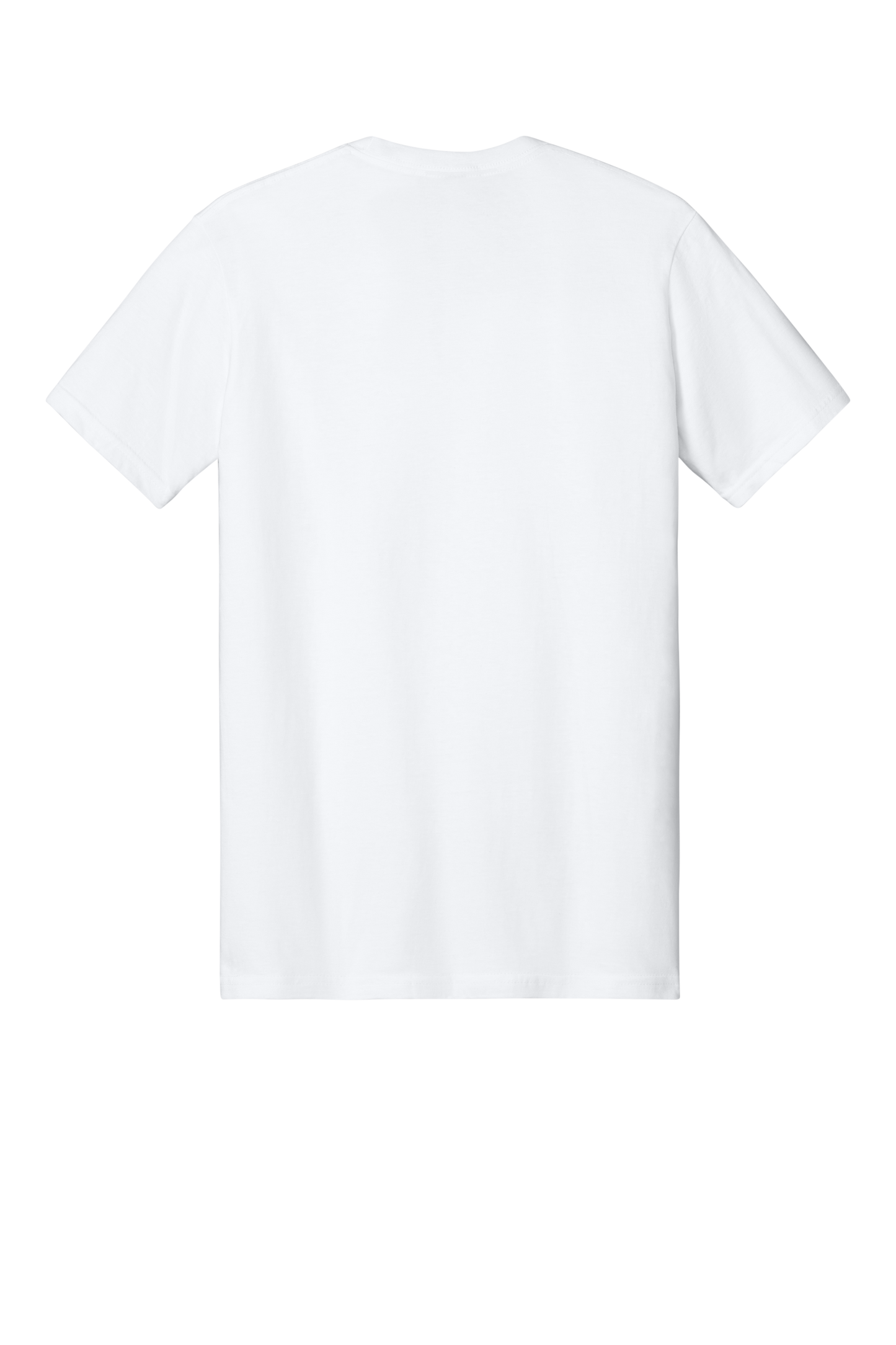Softstyle Midweight Tee